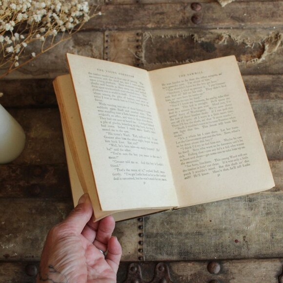 Vintage 1910s Book, "The Young Forester" by Zane Grey, Grosset and Dunlap Editio - Picture 8 of 10